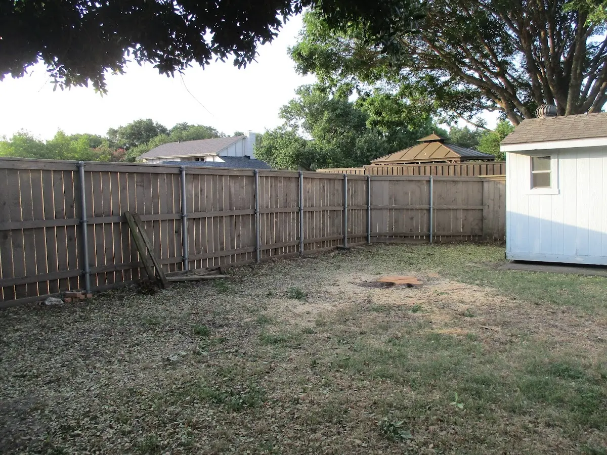 Cleared yard after professional tree removal in Gold Hill